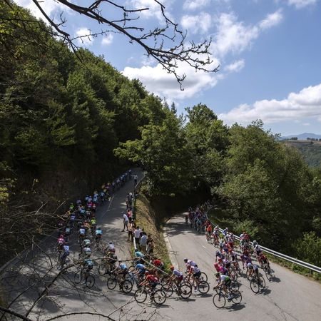 74th Tour of Spain 2019 - Stage 15