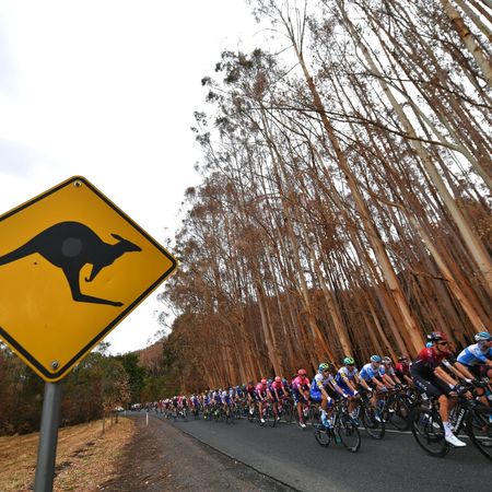 22nd Santos Tour Down Under 2020 - Stage 3