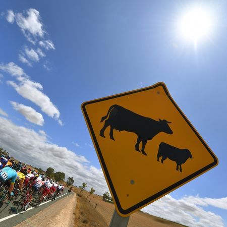 22nd Santos Tour Down Under 2020 - Stage 4