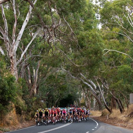 22nd Santos Tour Down Under 2020 - Stage 5