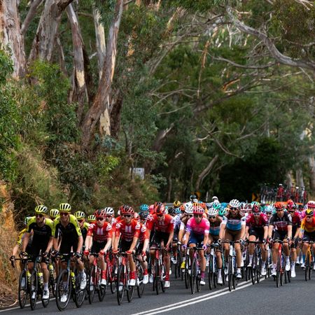 22nd Santos Tour Down Under 2020 - Stage 5