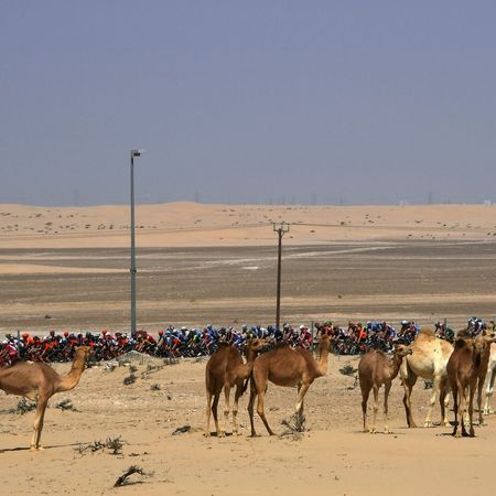 6th UAE Tour 2020 - Stage 3