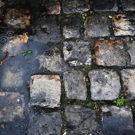 118th Paris-Roubaix 2021 - Men's Eilte