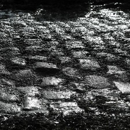 118th Paris-Roubaix 2021 - Men's Eilte