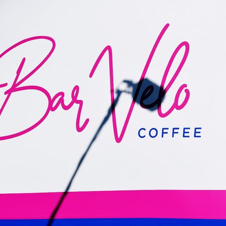 Quick-Step Alpha Vinyl Team 2022 - Media Day