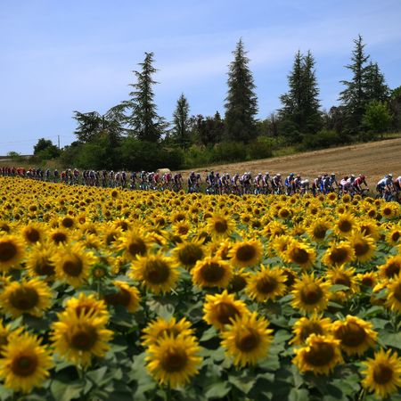 110th Tour de France 2023 - Stage 8
