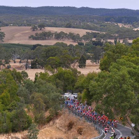 21st Santos Tour Down Under 2019 - Stage 2