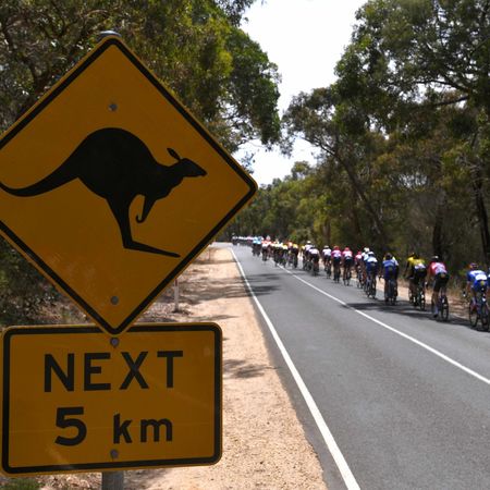 5th Cadel Evans Great Ocean Road Race 2019 - Elite Men