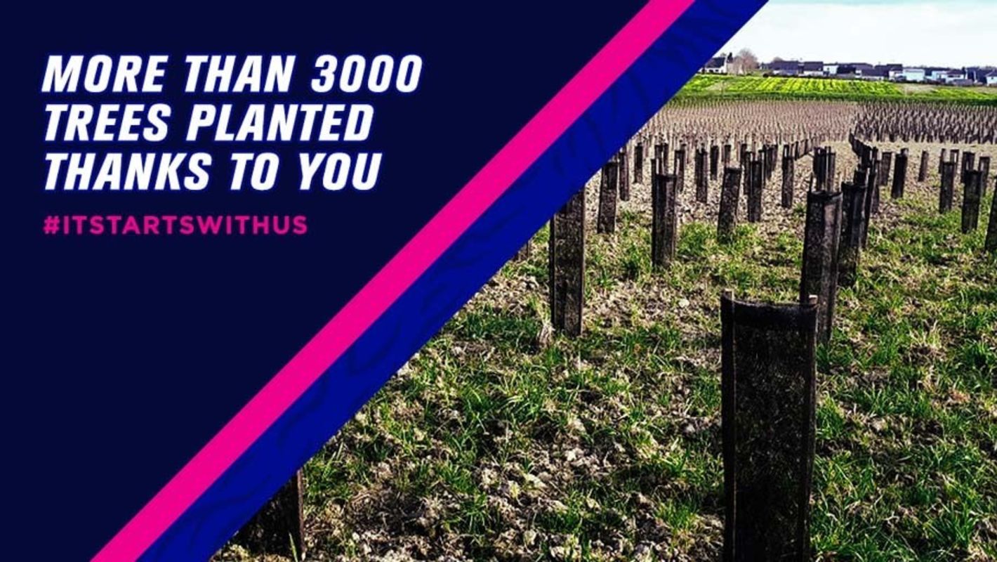 Quick-Step Alpha Vinyl &CO2logic plant over 3000 trees