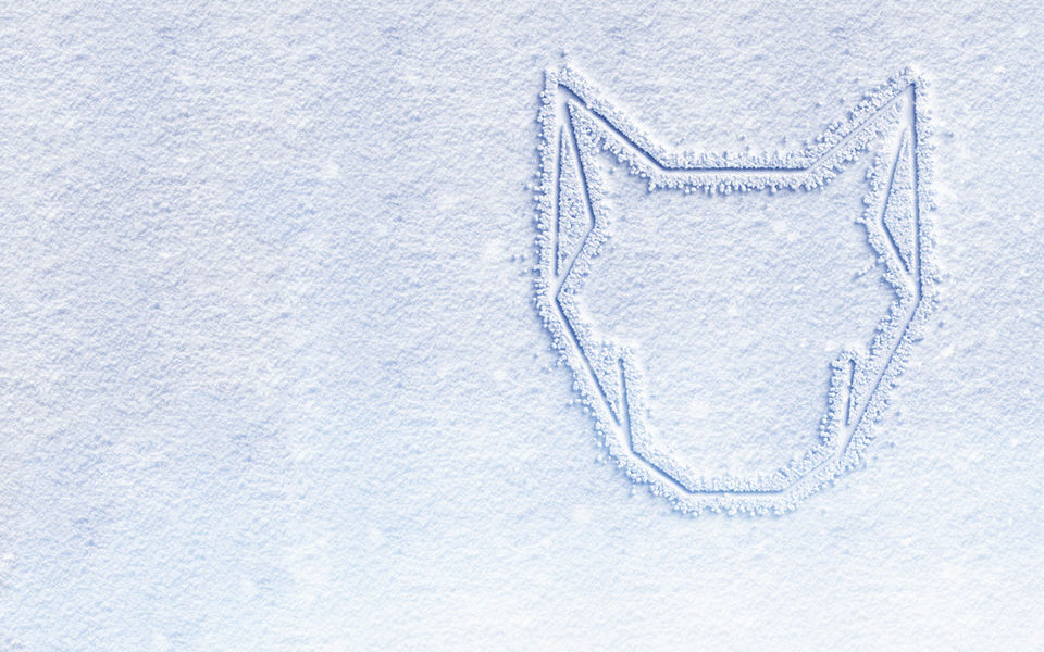 Season’s greetings from The Wolfpack!