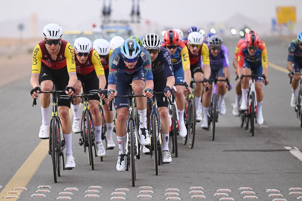 Rex dichtbij podiumplaats na waaiers